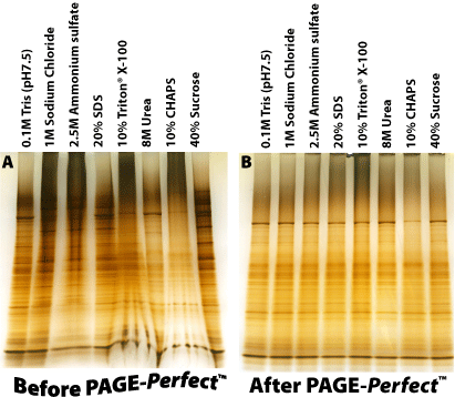 Pageperfect-comparison.gif