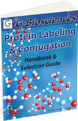 Protein Labeling, Conjugation and Sample Preparation Guide