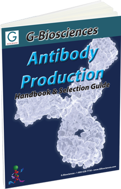 Antibody Production Handbook