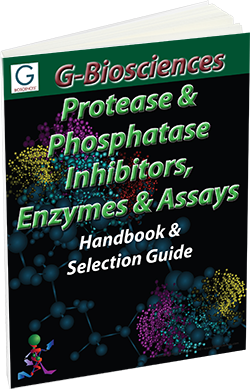 Protease and Phosphatase Enzyme Guide