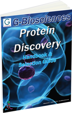 Protein discovery with premade blots and lysates