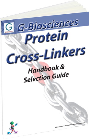 Cross linkingm protein modification and protein sample preparation