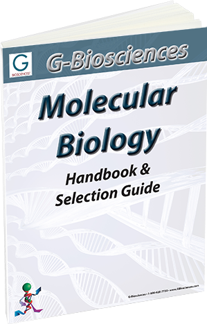 HB-3D_Molecular_biology.png